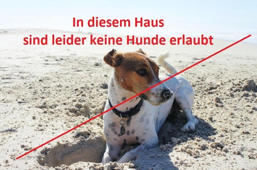 Campsite Regenbogen Goehren *